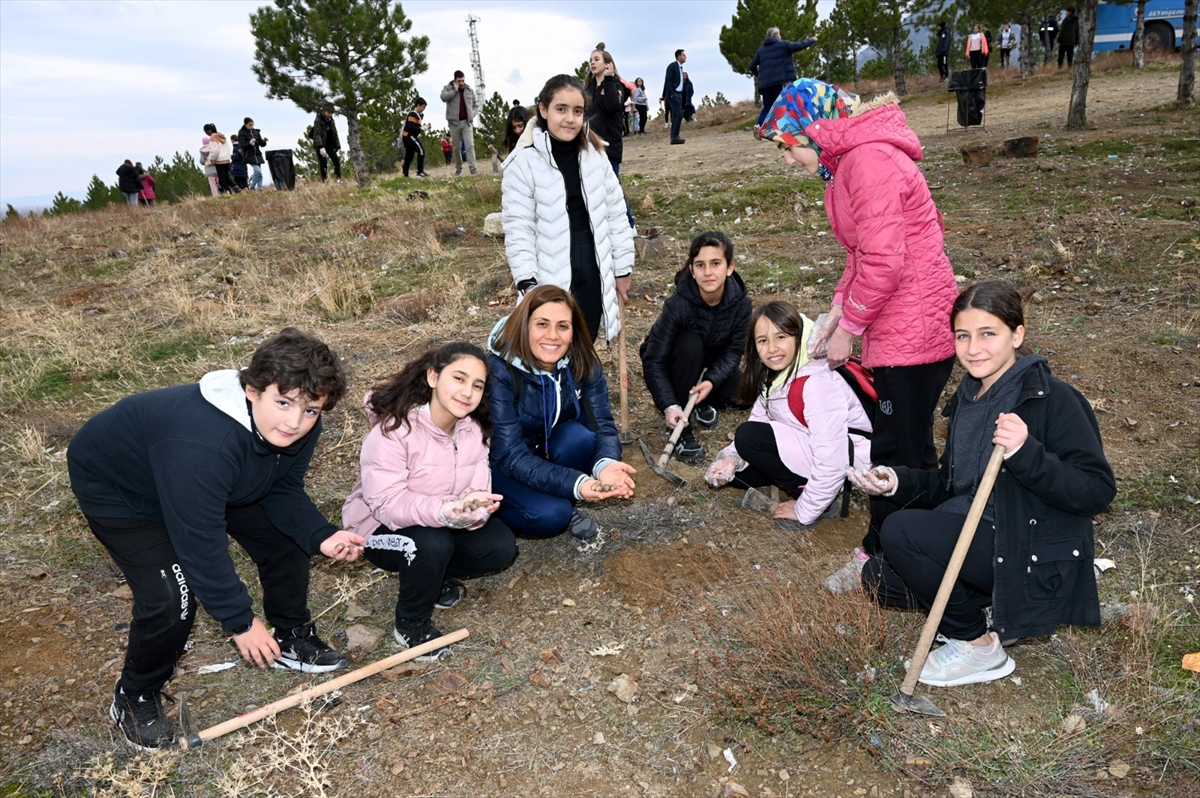 konyada-ortaokul-ogrencileri-15-bin-mese-palamudunu-toprakla-bulusturdu-003.jpg
