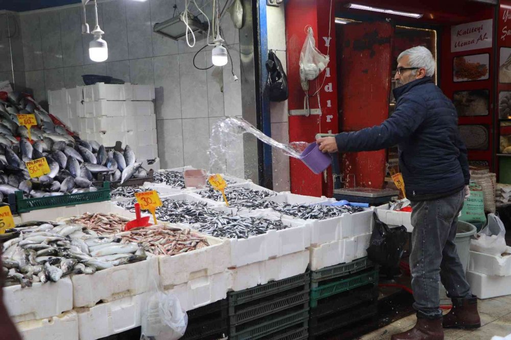 Balık tezgahlarında en çok ilgiyi 30 - 40 liraya satılan hamsi görüyor