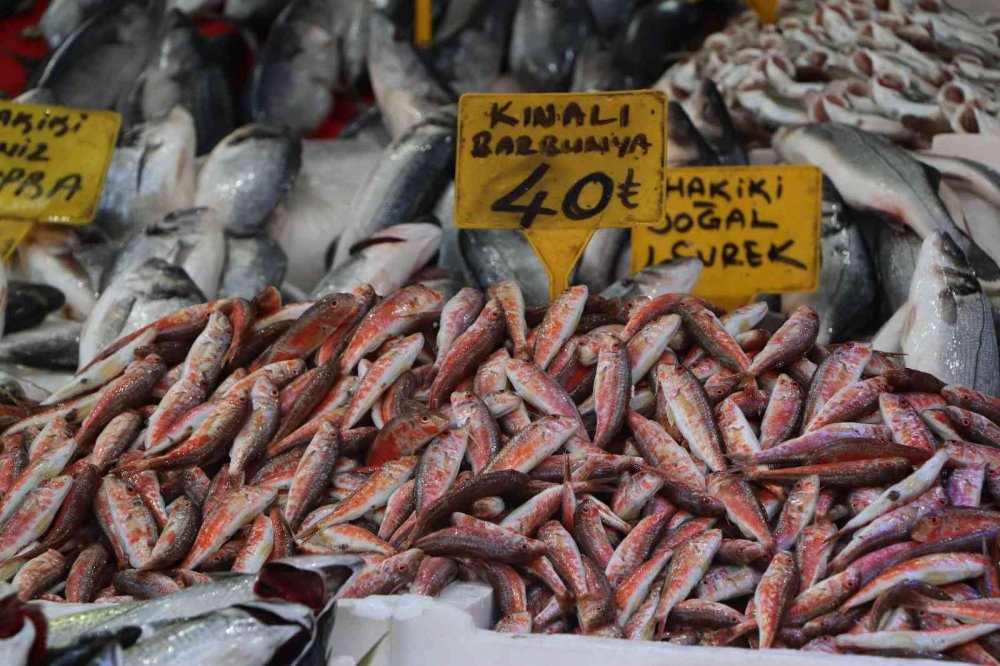 Balık tezgahlarında en çok ilgiyi 30 - 40 liraya satılan hamsi görüyor