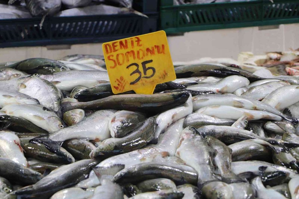 Balık tezgahlarında en çok ilgiyi 30 - 40 liraya satılan hamsi görüyor