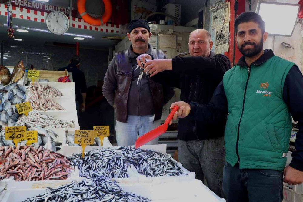Balık tezgahlarında en çok ilgiyi 30 - 40 liraya satılan hamsi görüyor