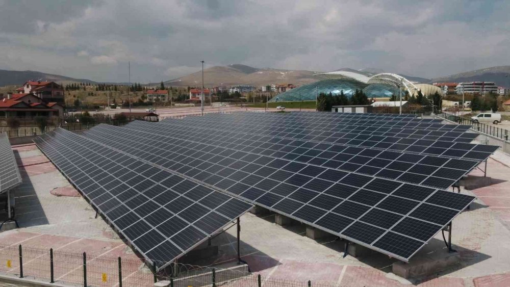 Konya'da bir belediye 20 bin 203 ağacı kesilmekten kurtardı