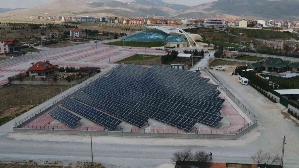 Konya'da bir belediye 20 bin 203 ağacı kesilmekten kurtardı