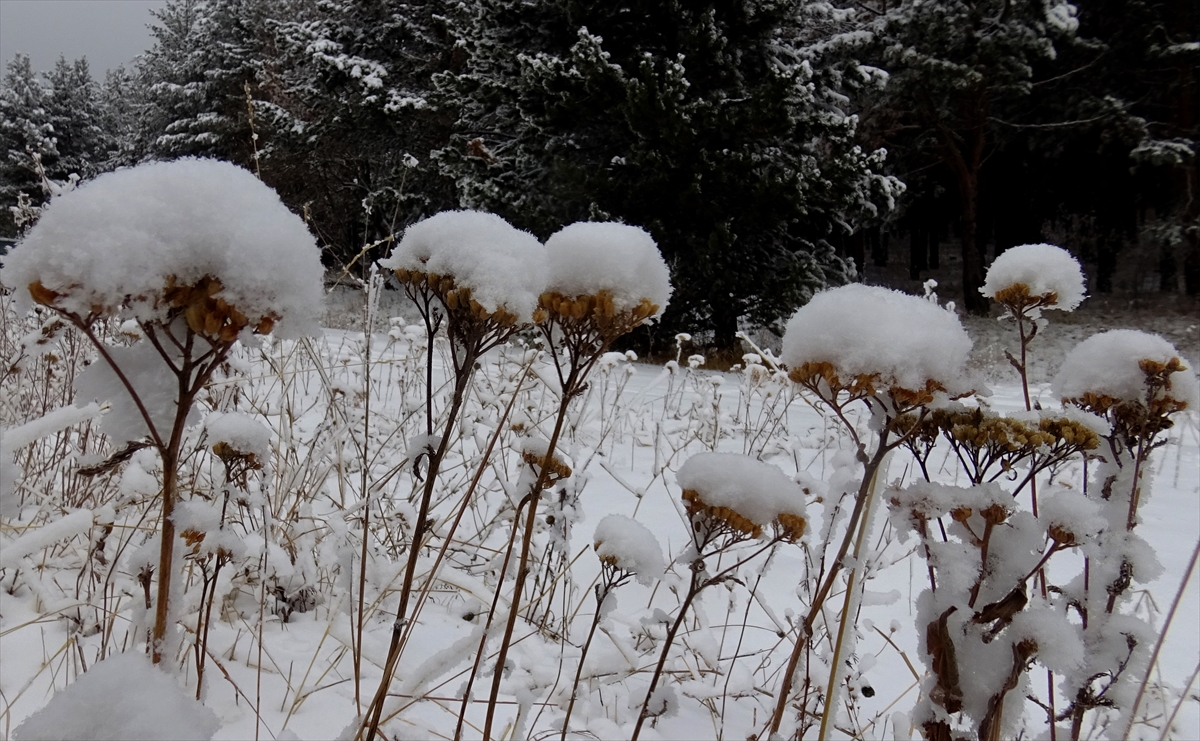 dereler-buz-tuttu-dogu-anadoluda-soguk-hava-etkili-oluyor-002.jpg