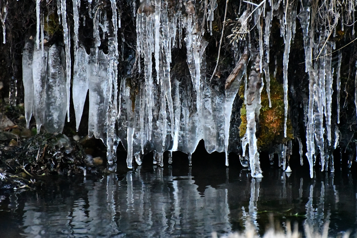 dereler-buz-tuttu-dogu-anadoluda-soguk-hava-etkili-oluyor-004.jpg