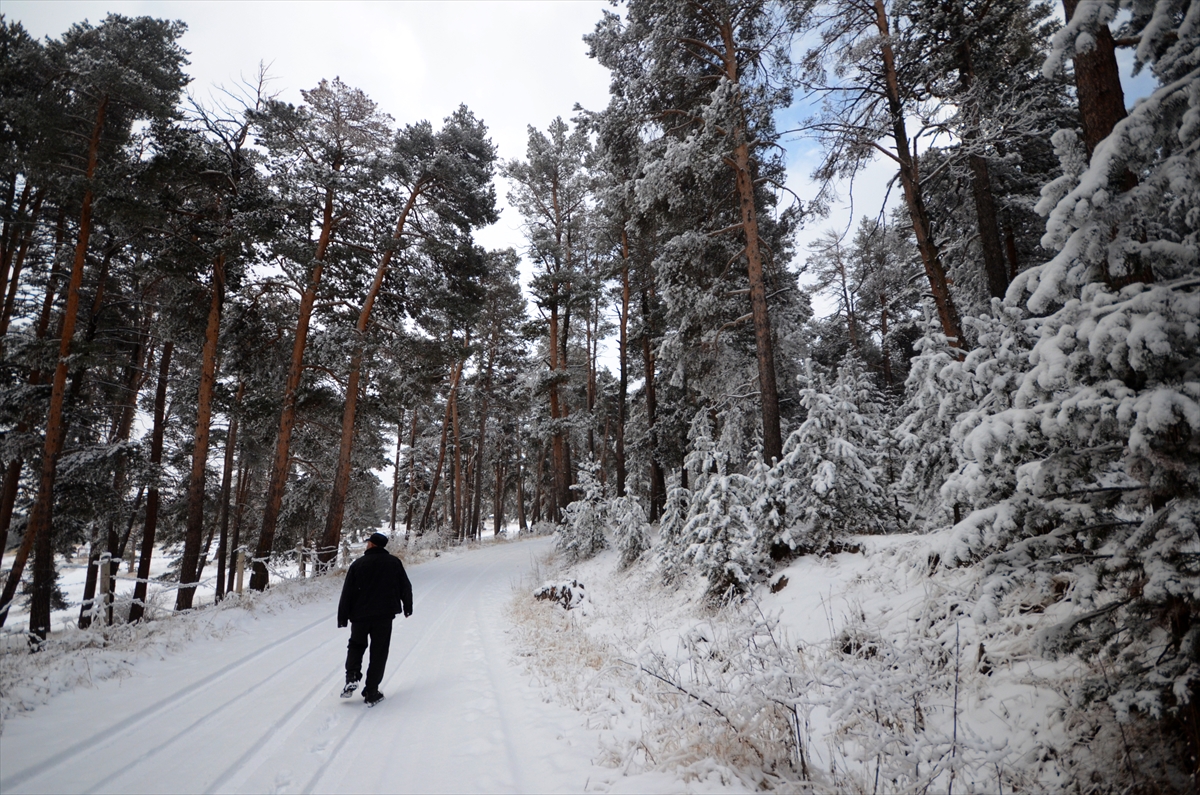 dereler-buz-tuttu-dogu-anadoluda-soguk-hava-etkili-oluyor-011.jpg