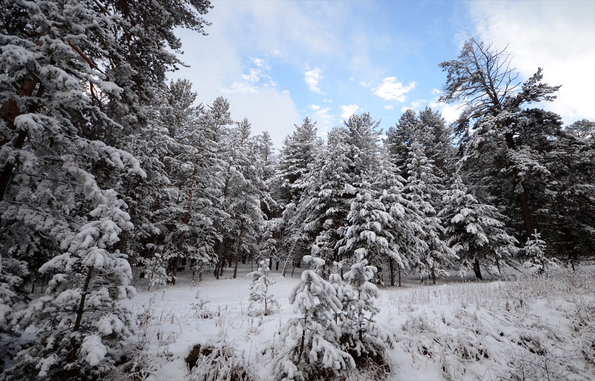 dereler-buz-tuttu-dogu-anadoluda-soguk-hava-etkili-oluyor-015.jpg