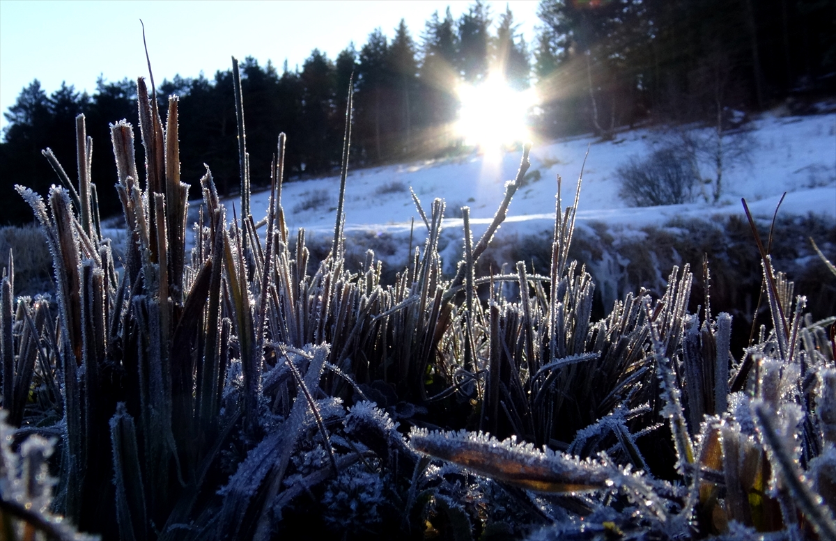 dereler-buz-tuttu-dogu-anadoluda-soguk-hava-etkili-oluyor-016.jpg