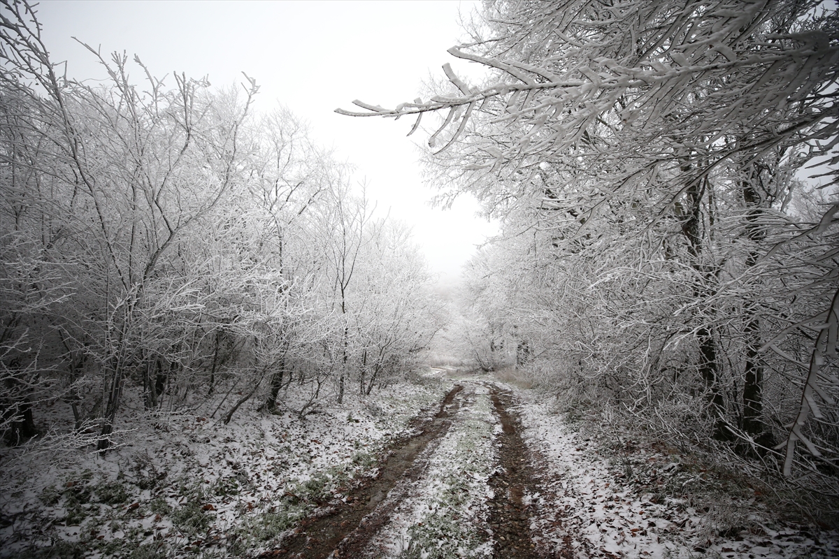 kirklarelinde-mevsimin-ilk-kari.jpg