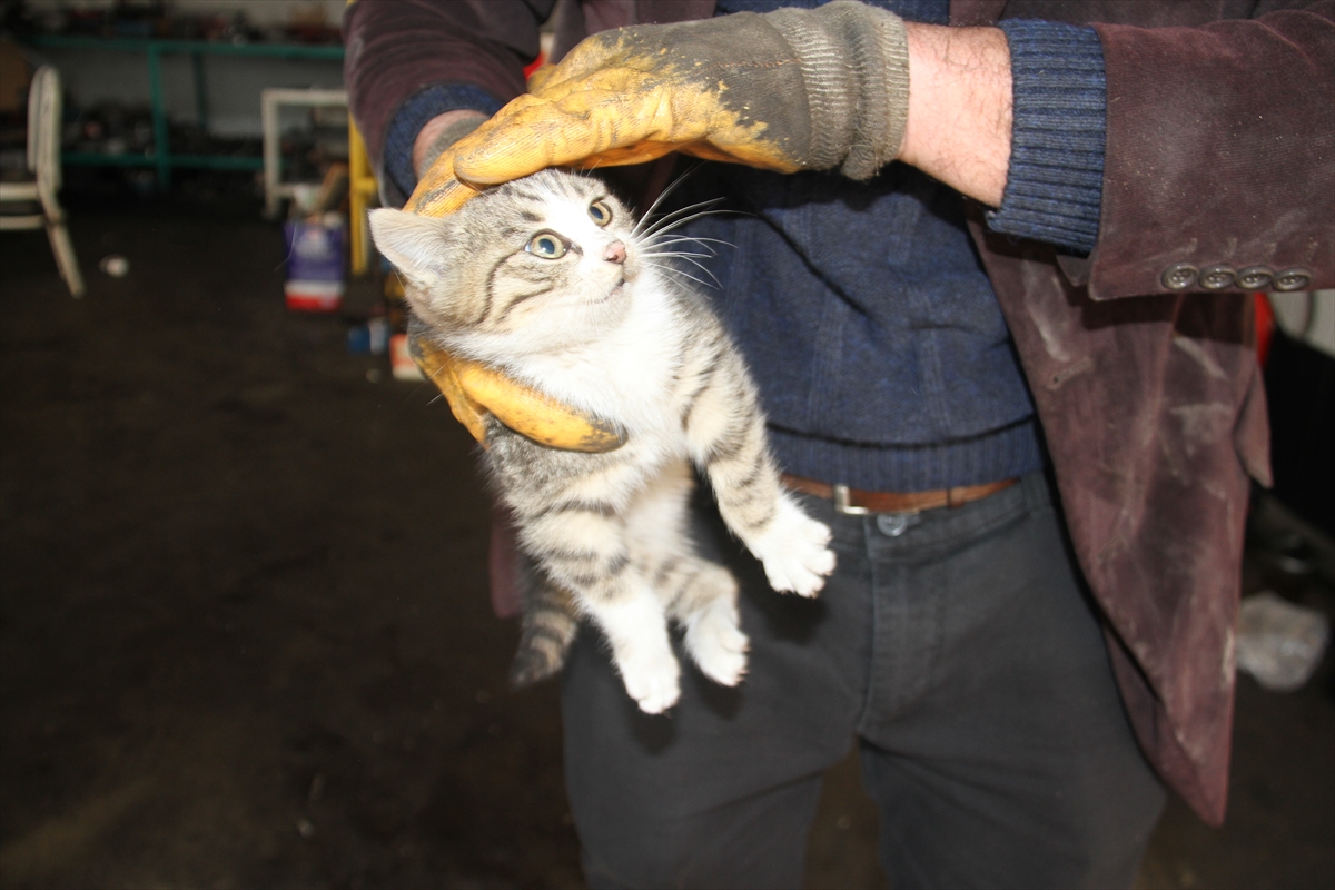 konyada-otomobilin-motor-kismina-giren-kedi-icin-seferber-oldular-001.jpg
