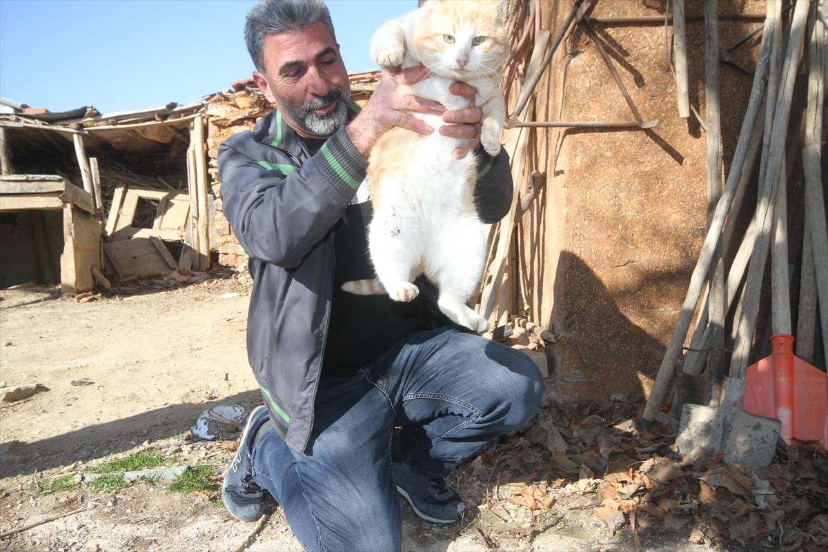 konyada-ambulans-soforu-babasinin-emaneti-kediler-icin-yaptigiyla-takdir-topladi-001.jpg