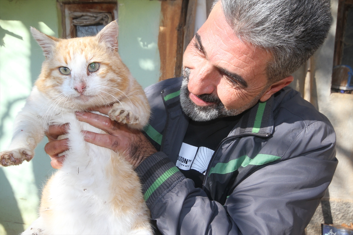 konyada-ambulans-soforu-babasinin-emaneti-kediler-icin-yaptigiyla-takdir-topladi-003.jpg