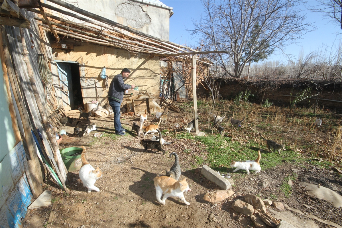 konyada-ambulans-soforu-babasinin-emaneti-kediler-icin-yaptigiyla-takdir-topladi.jpg