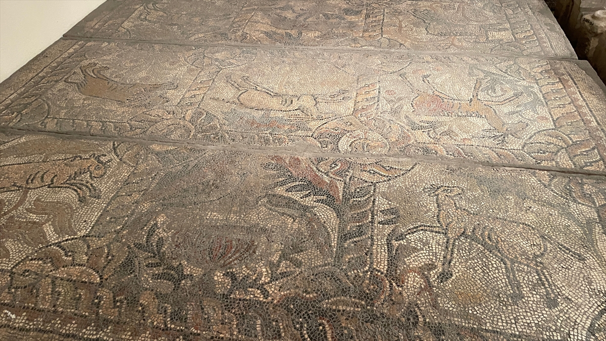 konyadaki-roma-donemi-taban-mozaikleri-ozenle-korunuyor-001.jpg