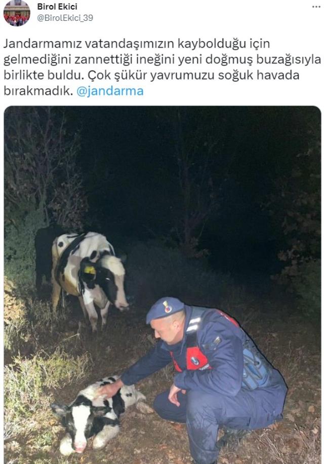 kayip-inek-sahibine-surpriz-yapti-olaya-vali-de-kayitsiz-kalamadi.jpg