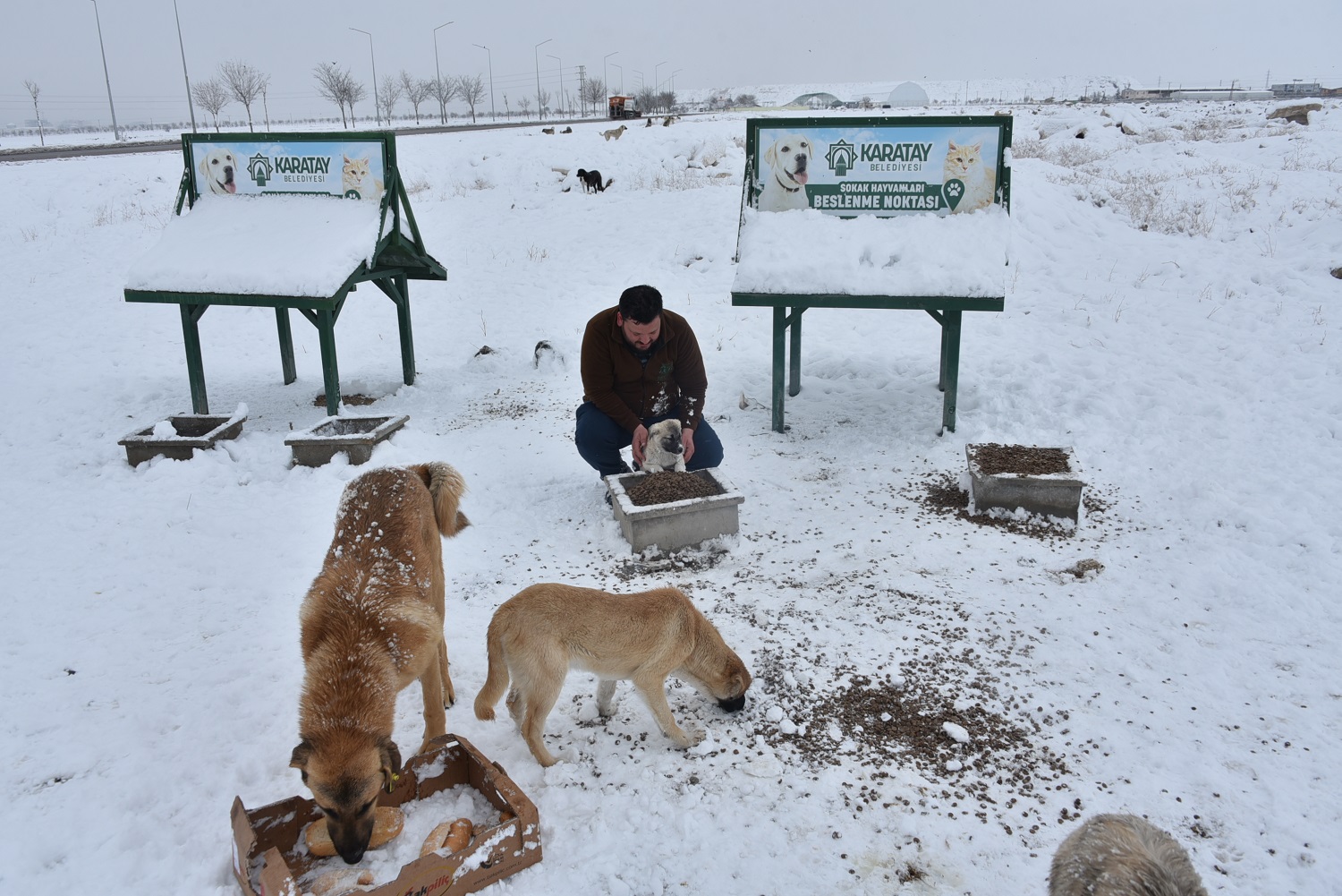 konya-beyaza-burundu-karatayda-sokak-hayvanlari-unutulmadi-003.jpg