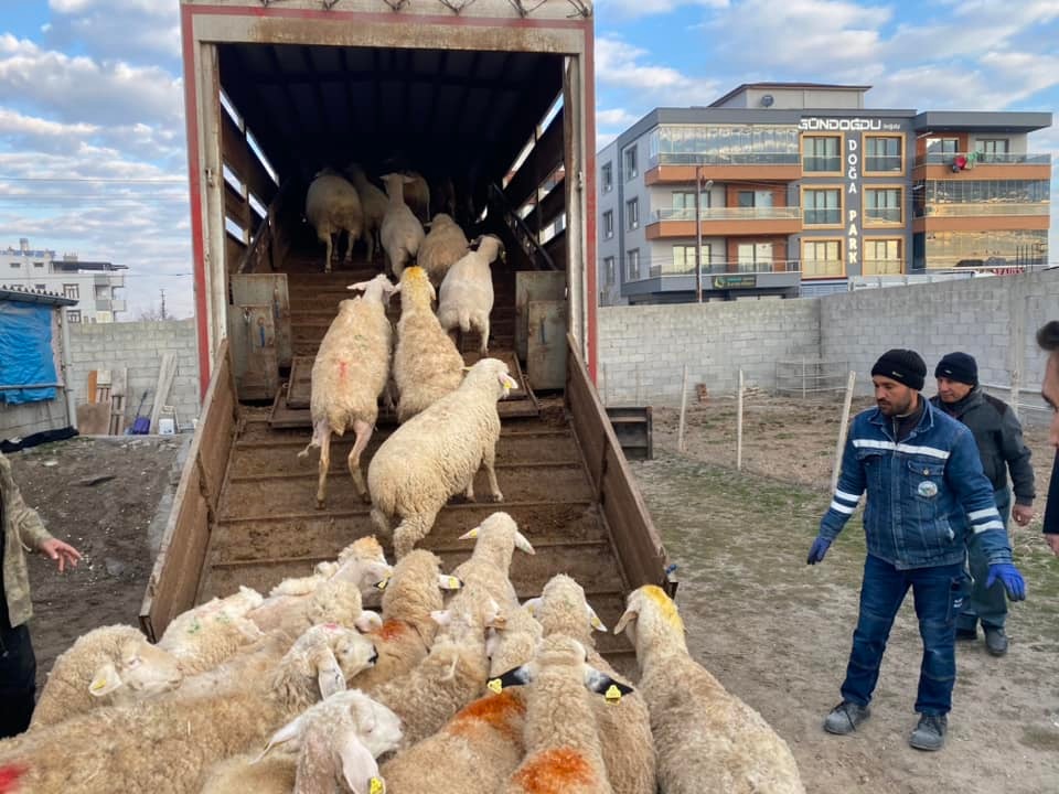 konya-karapinarda-uretici-depremzedeler-icin-155-hayvan-bagislandi-001.jpeg