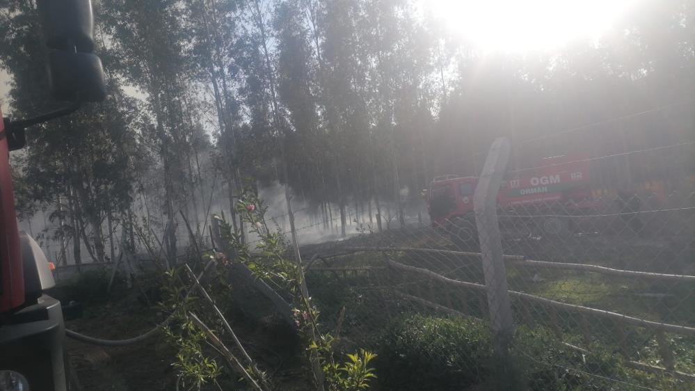 ormanlik-alanda-cikan-yangin-sonduruldu.jpg