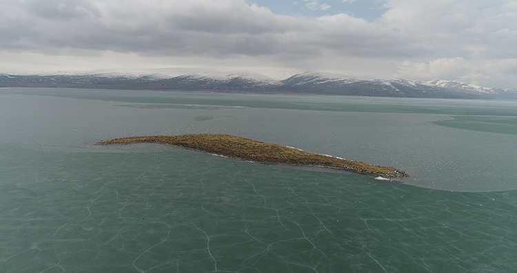 cildir-golunun-yuzeyini-kaplayan-buz-tabakasi-erimeye-basladi.jpg