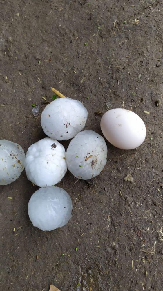 yumurta-buyuklugunde-yagan-dolu-saskina-cevirdi.jpg