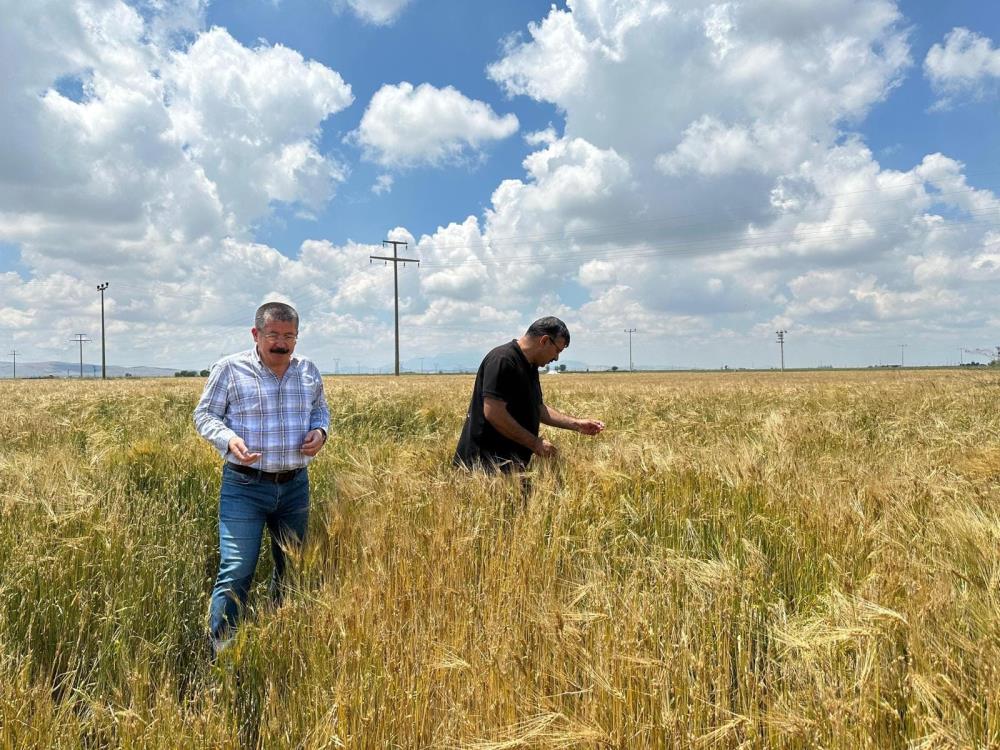 kuvvetli-yagisin-vurdugu-konyada-tarim-alanlari-incelendi.jpg