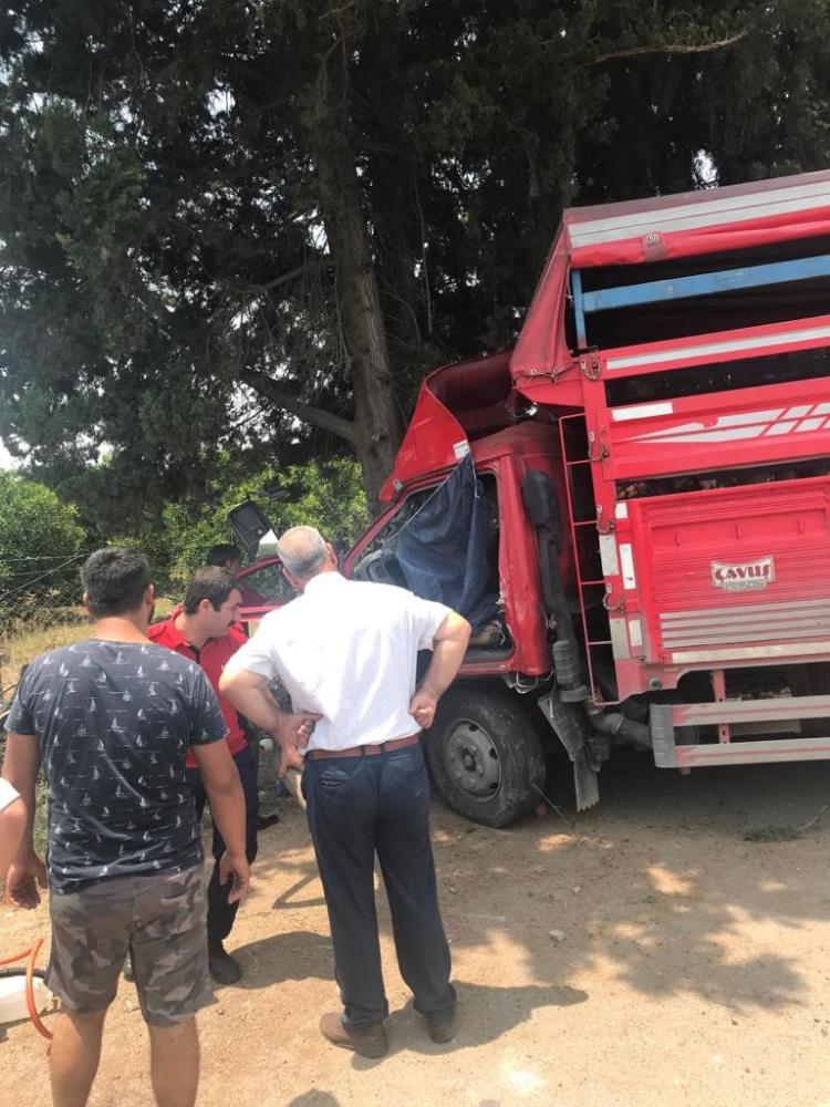 meyve-yuklu-kamyonet-agaca-carpti-1-olu-6-yarali.jpg