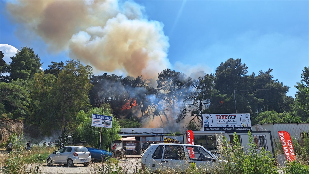 yerlesim-yerine-yakin-noktada-orman-yangin-004.jpg