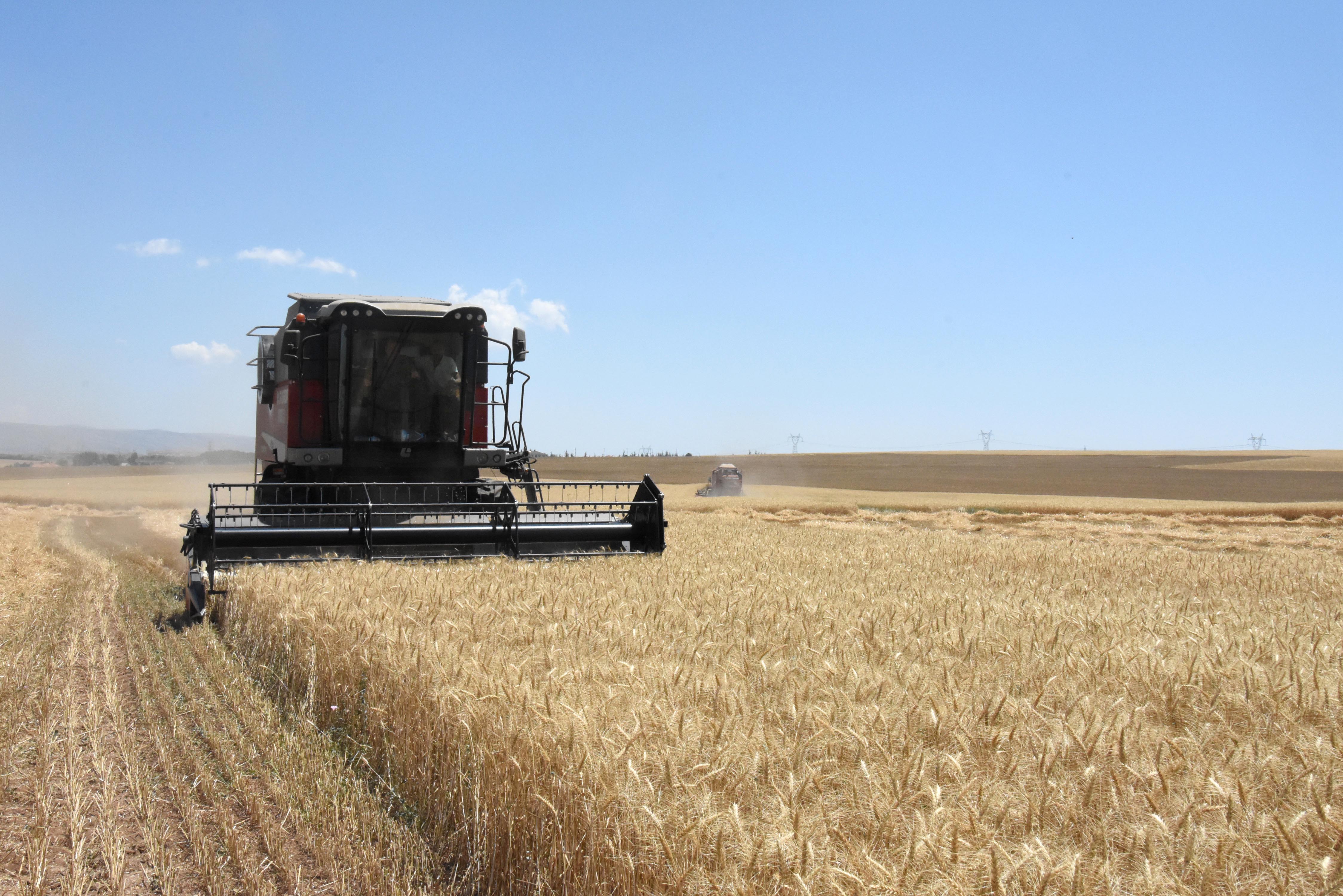 konyanin-rakibi-olan-ilde-hububat-hasadi-basladi-002.jpg