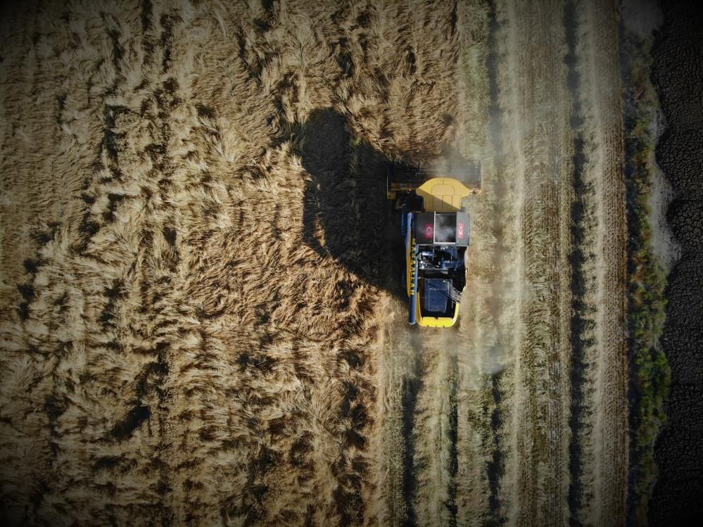 konya-ovasinda-arpa-hasadi-basladi-rekoltede-son-durum-003.jpg