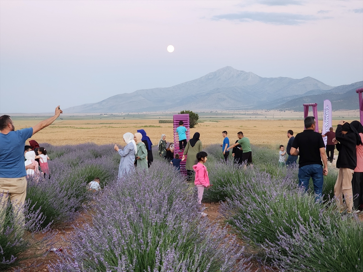 konya-guneysinir-lavanta-bahcesi-ziyarete-aciliyor-002.jpg