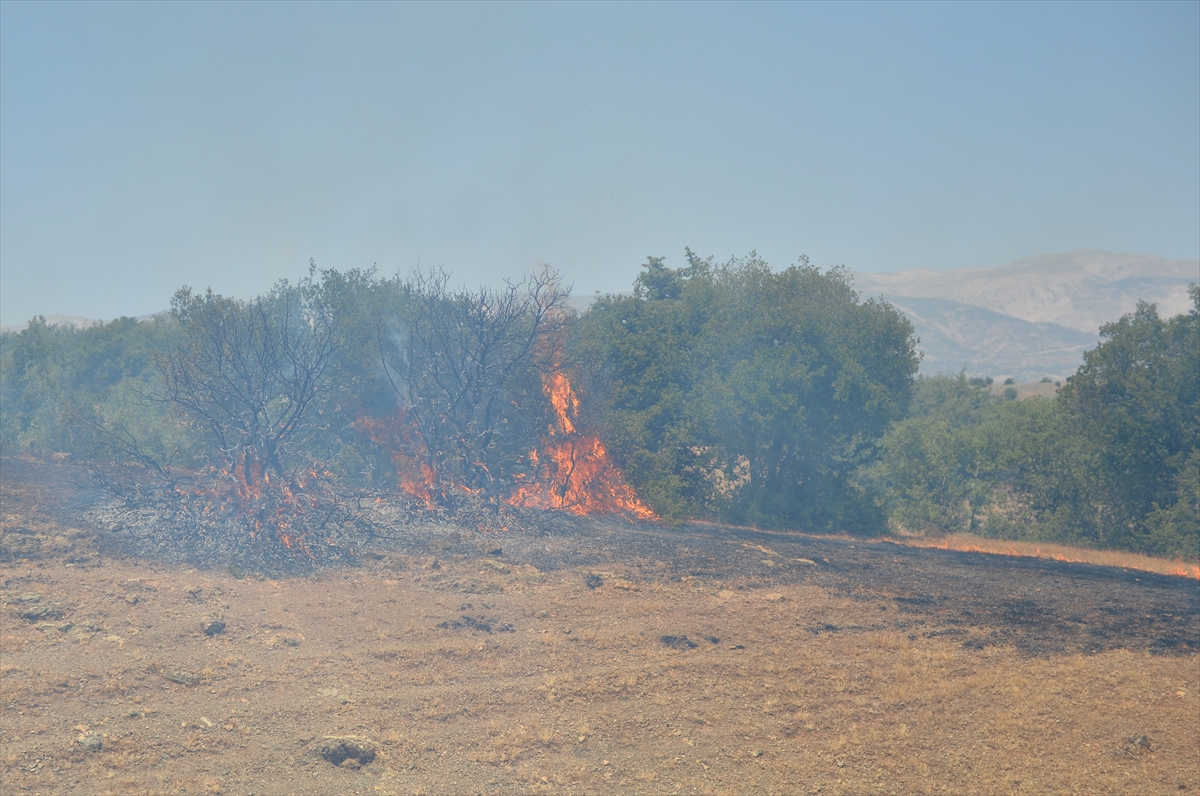 depremin-vurdugu-ilimizde-orman-yangini.jpg