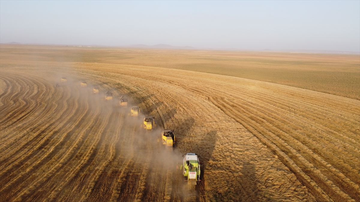 konyada-devasa-dairesel-tarlalarda-hasat-basladi-rekora-kosuyor-001.jpg