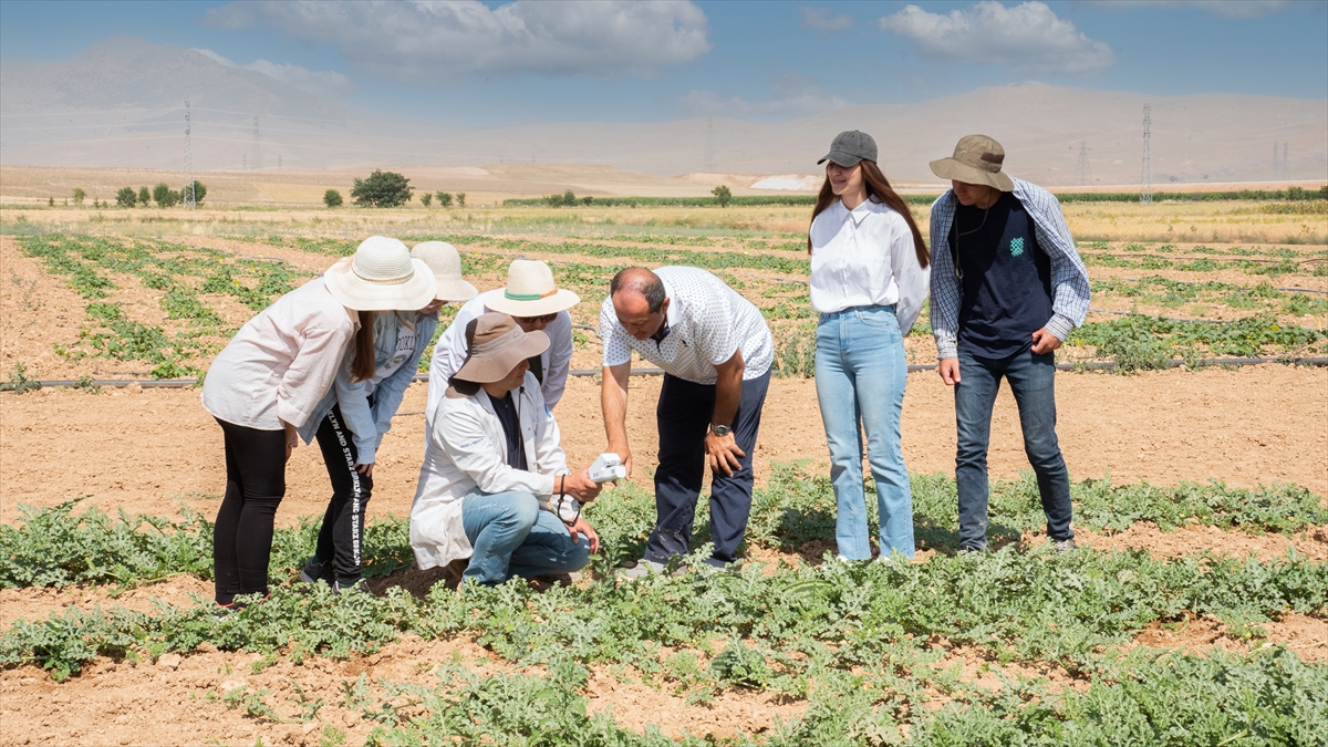 konyada-kavun-karpuz-uretiminde-su-tasarrufu-projesi.jpg