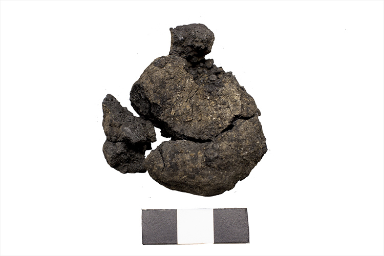 konyanin-antik-kentinde-bulundu-tam-8-bin-600-yillik-003.jpg