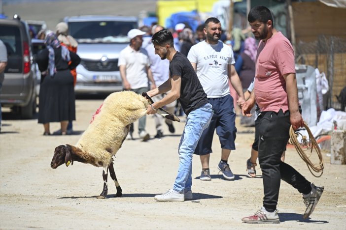 bayramda-satilan-kurbanlik-sayisi-belli-oldu.jpg