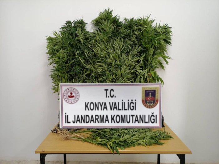 konyada-jandarmadan-fotokapanli-uyusturucu-operasyonu-001.jpg