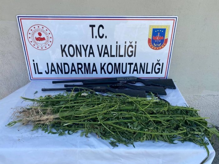 konyada-zehir-operasyonu-kiraladigi-evde-ve-tarlada-uyusturucu-yetistirmis-003.jpg