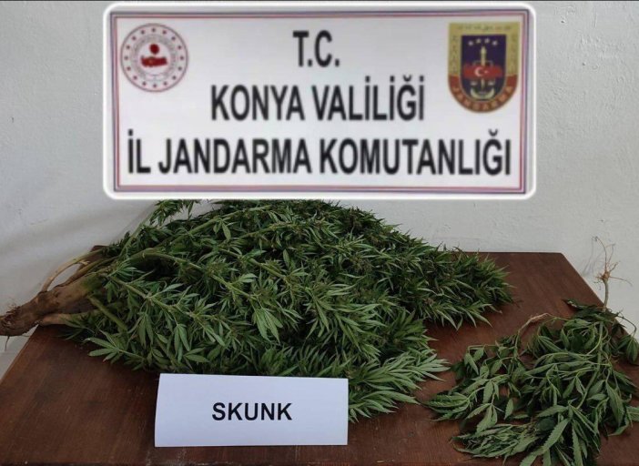 konyada-tarlasinda-uyusturucu-yetistirdi-jandarma-kelepceyi-takti.jpg