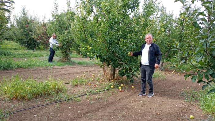 konyanin-elmasinda-hasat-suruyor.jpg