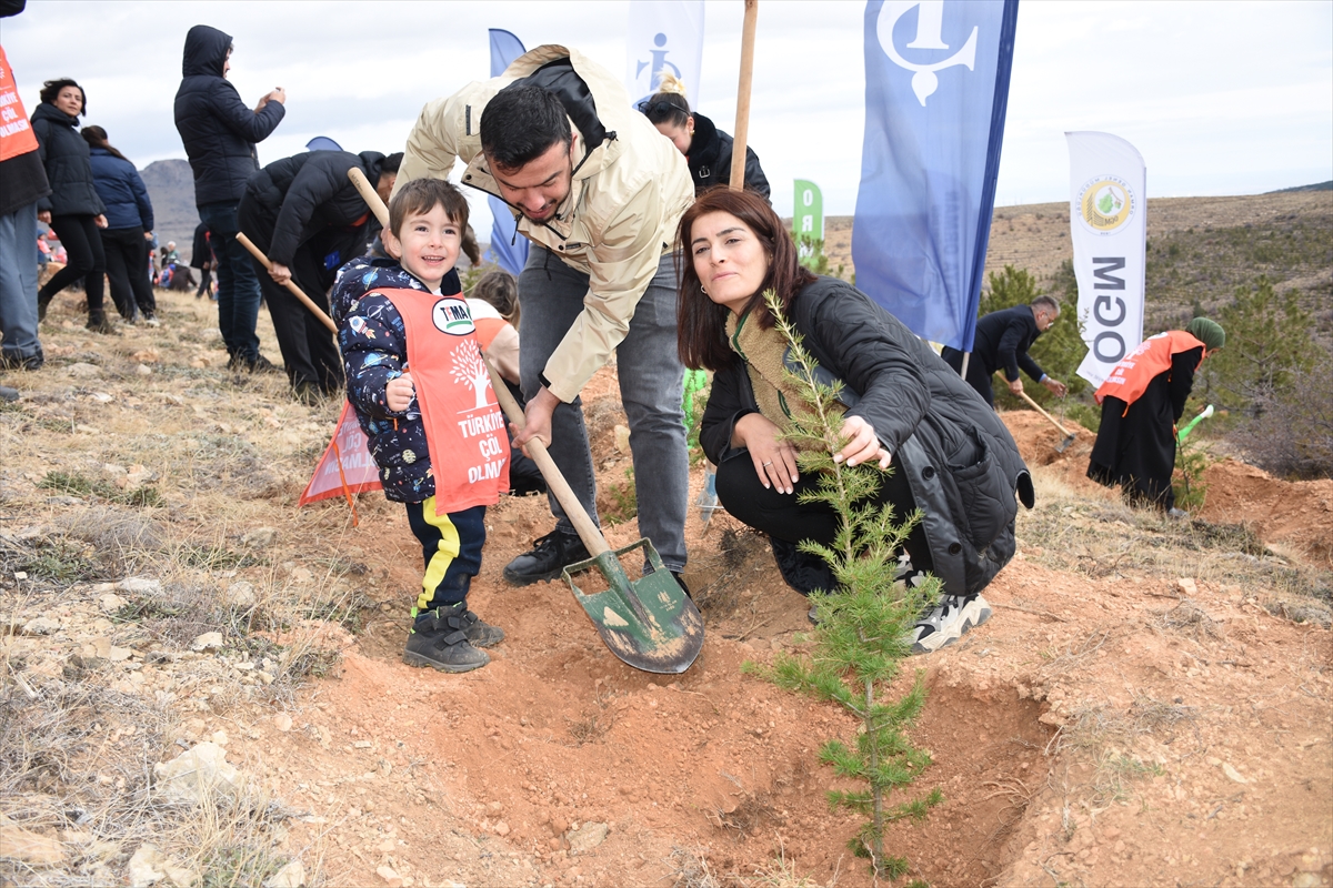 konyada-50-bin-fidan-toprakla-bulusturuluyor.jpg