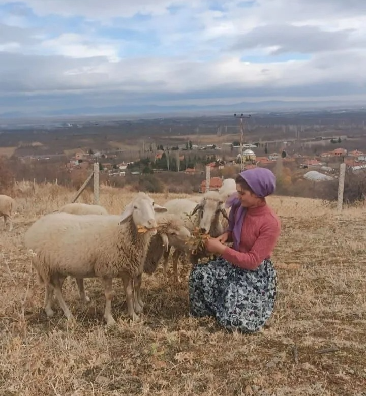 konyali-aysel-hem-koyunlarini-guttu-hem-universiteyi-bitirdi.png