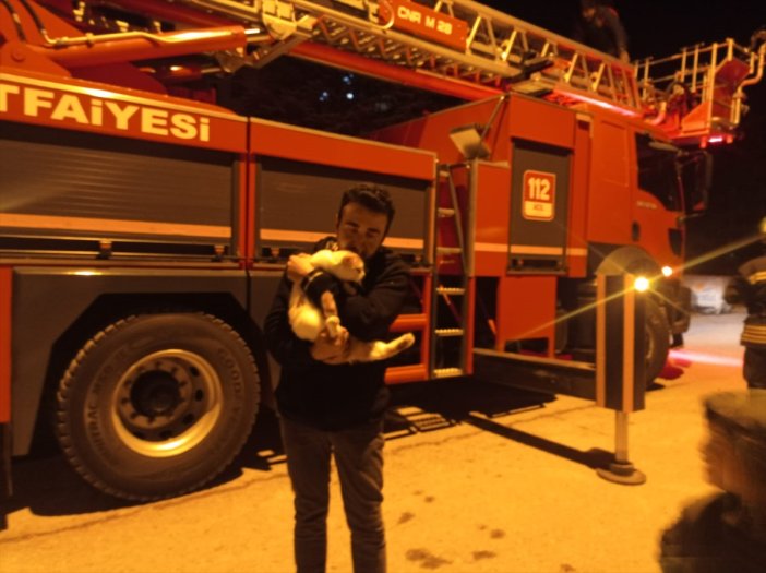 konyada-itfaiye-ekipleri-mercani-agactan-indirdi.jpg