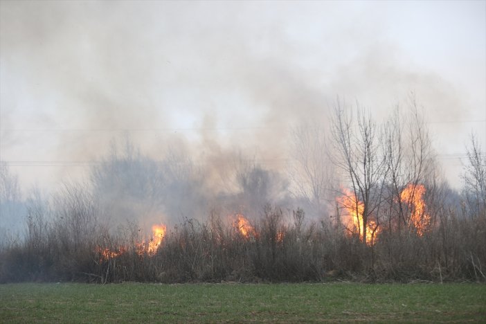 otluk-alanda-cikan-yangin-agaclik-bolgeye-sicradi.jpg