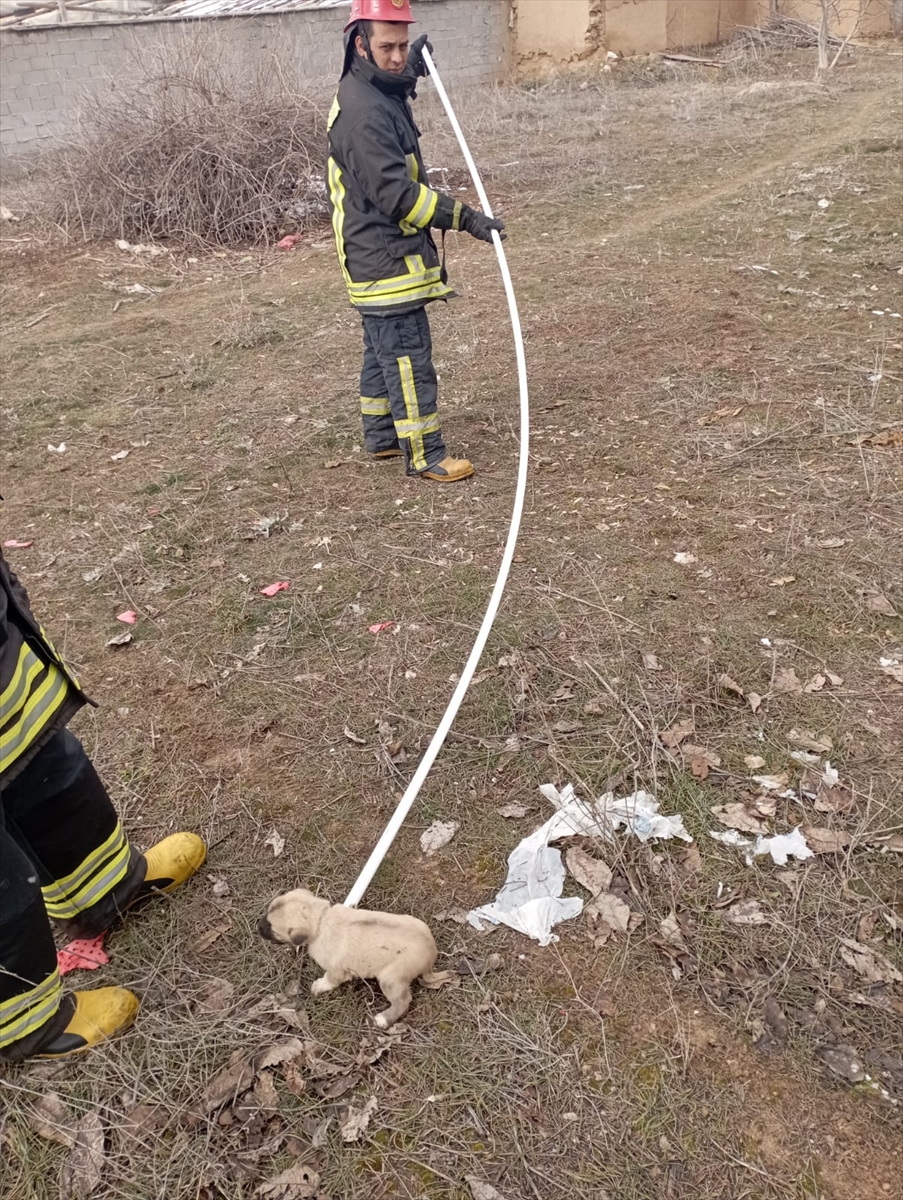 konyada-ekipler-su-kuyusuna-dusen-yavru-kopek-icin-seferber-oldu.jpg