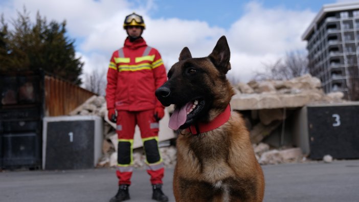 konyanin-arama-kurtarma-kopekleri-afetlere-karsi-hazirlaniyor-006.jpg