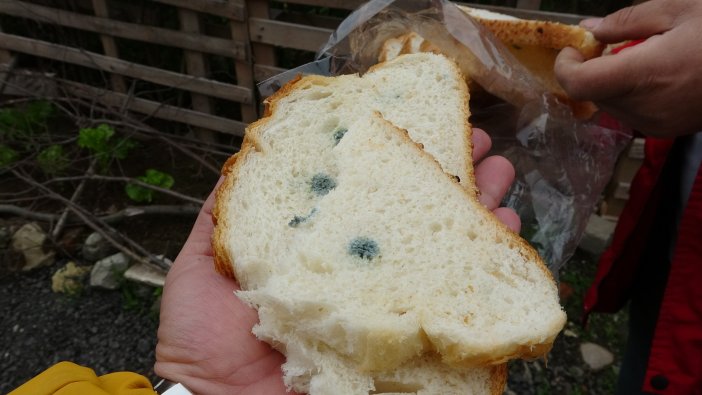 yoresel-ekmek-diye-aldi-paketi-acinca-hemen-sikayetci-oldu-001.jpg