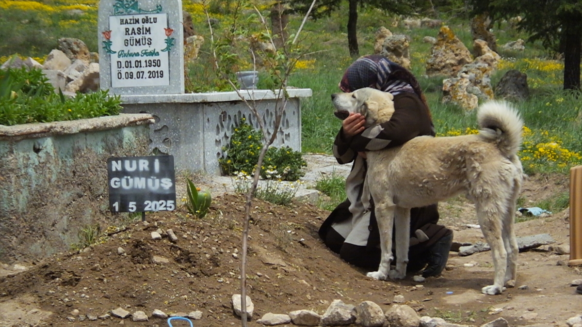 sahibini-kaybeden-kopek-gunlerdir-mezarin-basindan-ayrilmiyor.jpg