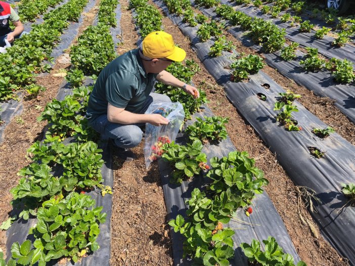 cilek-hasadi-oncesi-beysehirde-pestisit-denetimi.jpg
