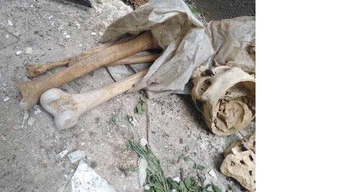 hurda-iscileri-metruk-binada-3-kafatasi-ve-kemik-parcalari-buldu-001.jpg