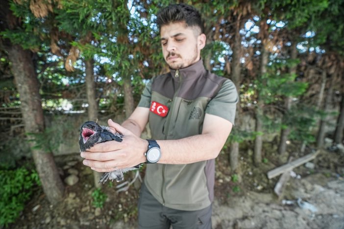 alcaktan-ucan-kargalar-yarali-arkadaslarina-yardim-cagirdi.jpg